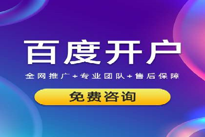 成功SEM竞价托管案例分析报告